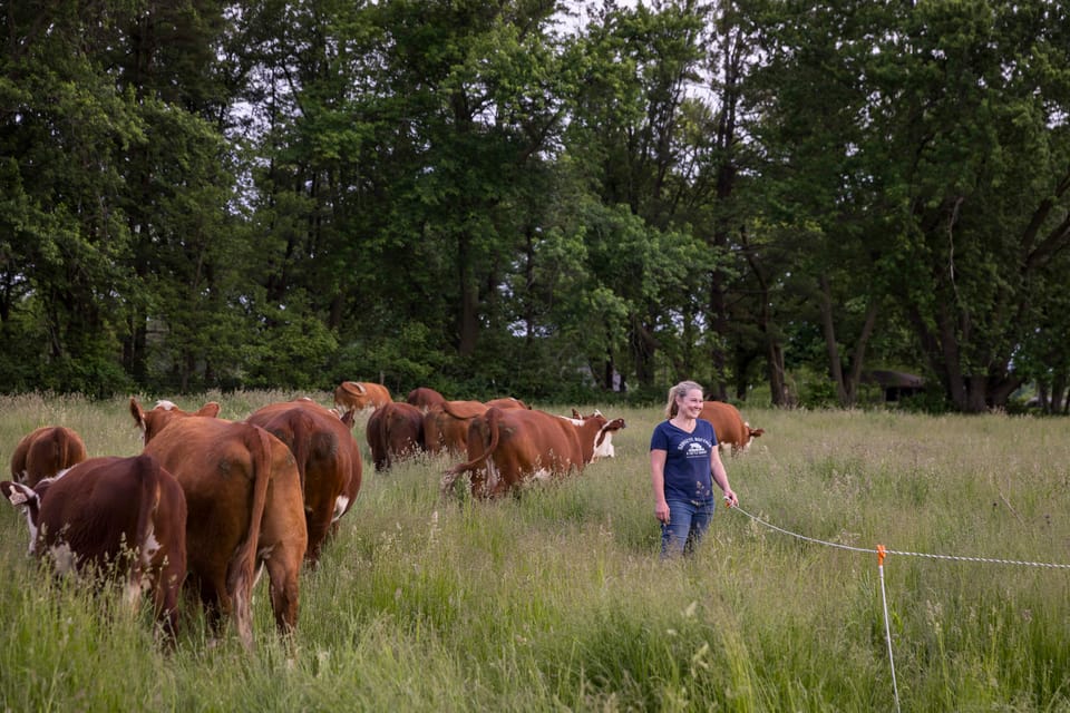 Three days with three farmers