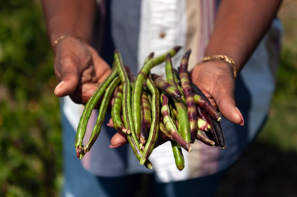 Invite: Learning from rural storytellers